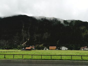 Trees on field against sky