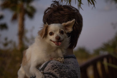 Portrait of dog looking away outdoors