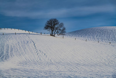 Scenic view of sand dunes against sky during winter