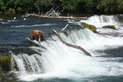 View of waterfall