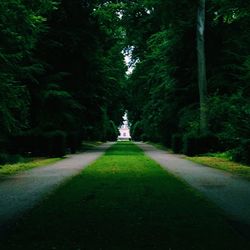 Empty road along trees