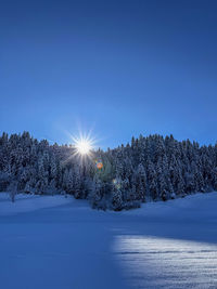 snow