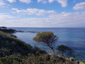 Scenic view of sea against sky