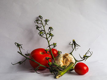 High angle view of cherry tomatoes on table