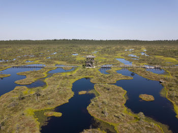 Scenic view of swamp against clear sky. a natural reserve in estonia.