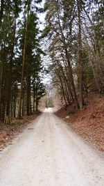 Road amidst trees in forest