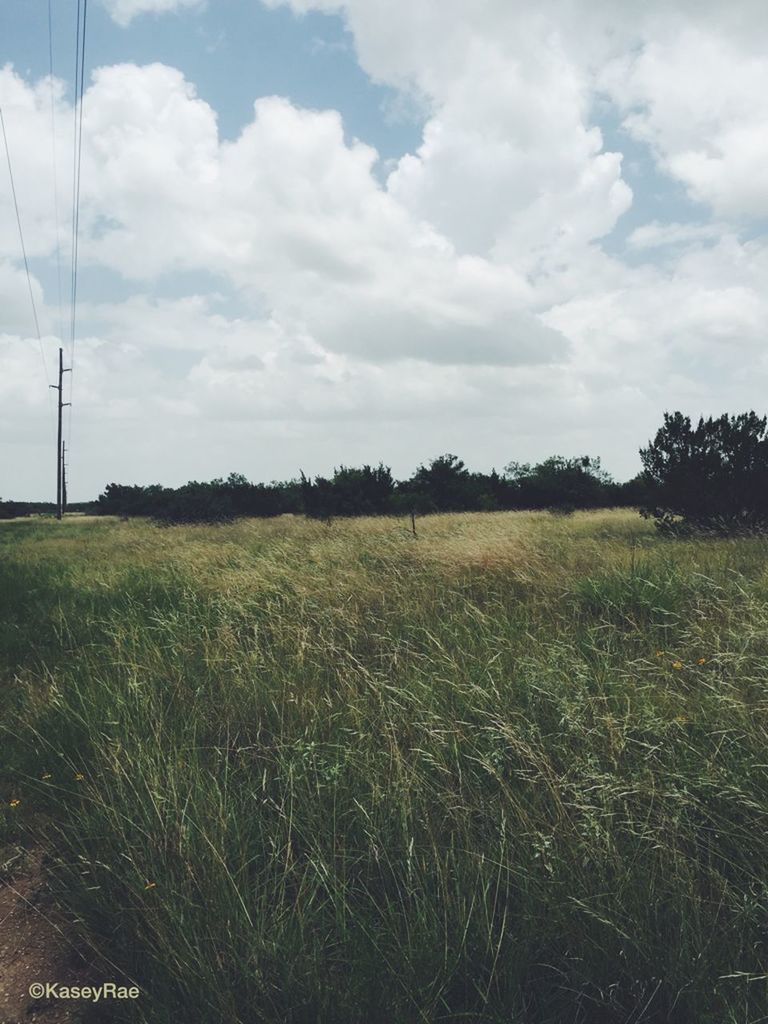 sky, grass, field, cloud - sky, landscape, tranquil scene, tranquility, growth, cloud, cloudy, nature, grassy, tree, scenics, beauty in nature, plant, green color, rural scene, electricity pylon, day