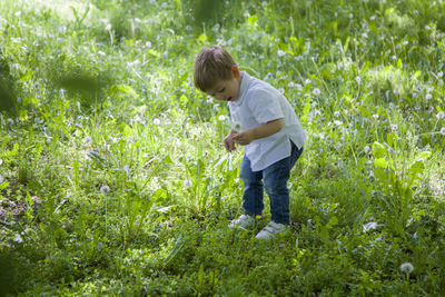 Full length of cute boy standing on grass