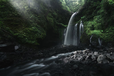 Scenic view of waterfall in forest