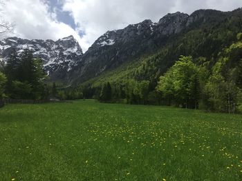 Scenic view of green landscape and mountains