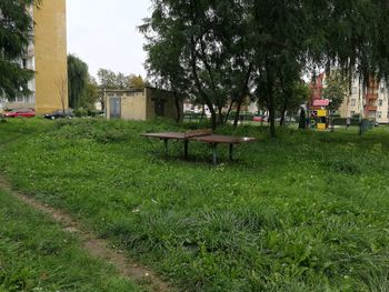 Empty bench on field against trees and buildings