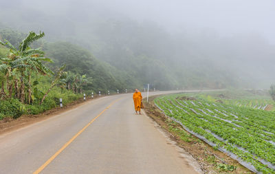 Monk standing on road by agriculture field