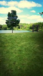 Trees on grassy field against cloudy sky