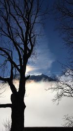 Silhouette bare tree against sky