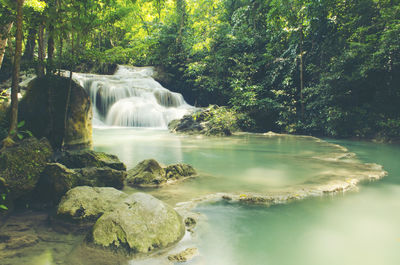 Scenic view of waterfall in forest