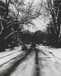 Road passing through trees