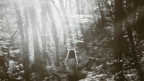 Woman standing by trees in forest