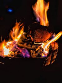 Close-up of bonfire at night