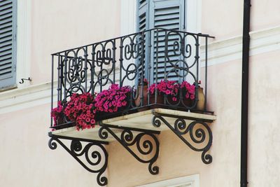 Potted plant on balcony of building