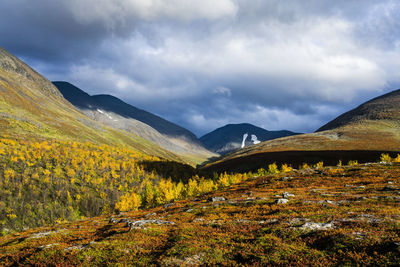 Rolling landscape