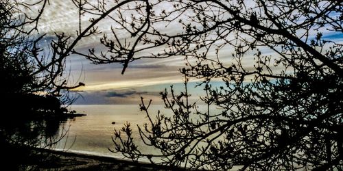 Silhouette bare tree by lake against sky during sunset