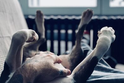 Low section of man and dog on sofa at home