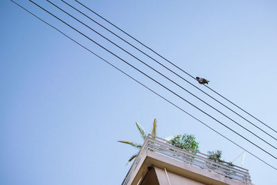 Low angle view of bird perching on cable against clear sky