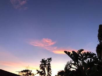 Low angle view of silhouette trees against sky at sunset