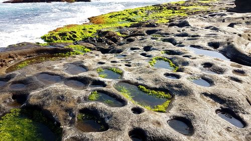 High angle view of rocks on shore