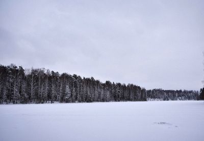 Trees on snow field against sky