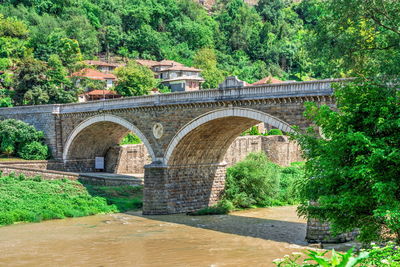 Arch bridge over river in forest