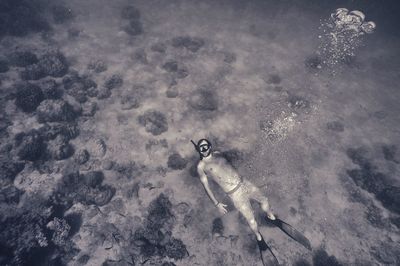 High angle view of man swimming under the sea