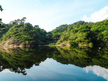 Reflection of trees in lake against sky