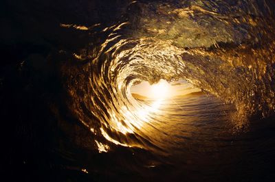 Reflection of trees in water