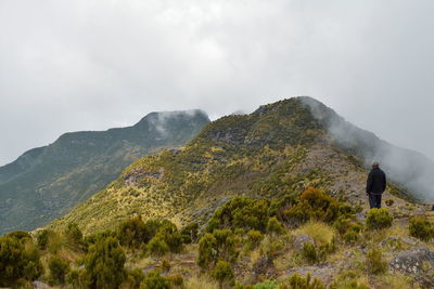 Rear view of man standing on mountain