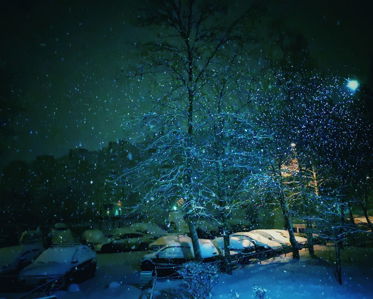 VIEW OF SNOW COVERED TREES AGAINST SKY