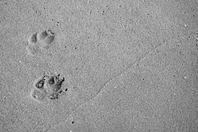 High angle view of footprints on sand