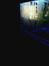 Close-up of tree in window