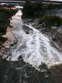 River flowing amidst trees