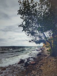 Scenic view of sea against sky