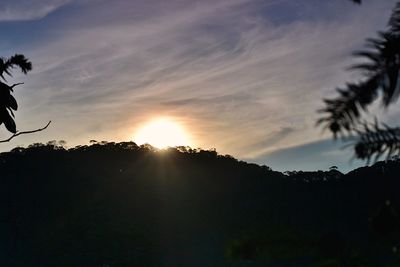 Silhouette trees against sky during sunset