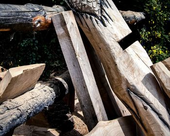 Close-up of log on wood in forest