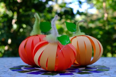 Close-up of pumpkin on tree during halloween