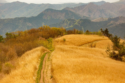 Scenic view of field against mountains