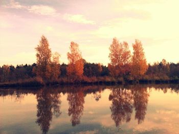 Reflection of trees in calm lake