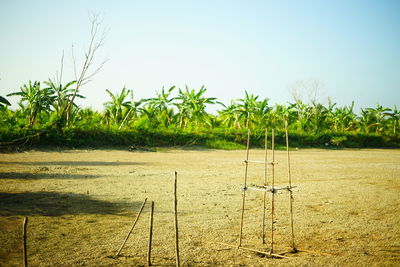 Scenic view of field against clear sky