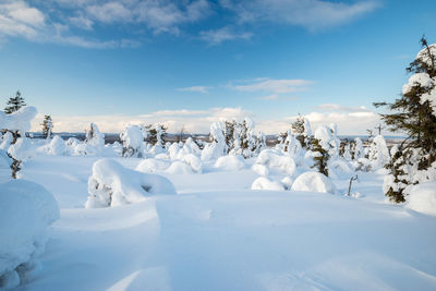 Snow covered landscape against sky