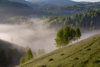 Scenic view of landscape against sky