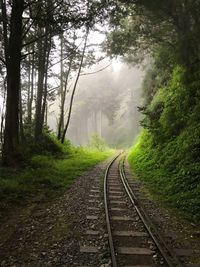 Railroad tracks amidst trees in forest against sky