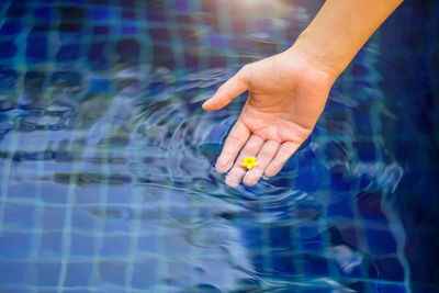 Cropped hand touching water in swimming pool